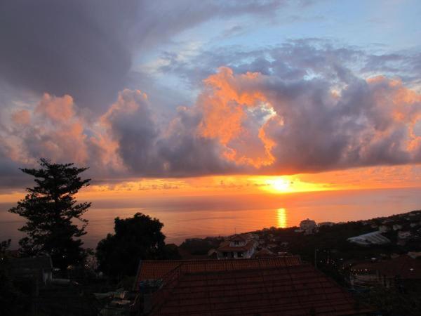 Vila Madeira House Calheta  Pokoj fotografie